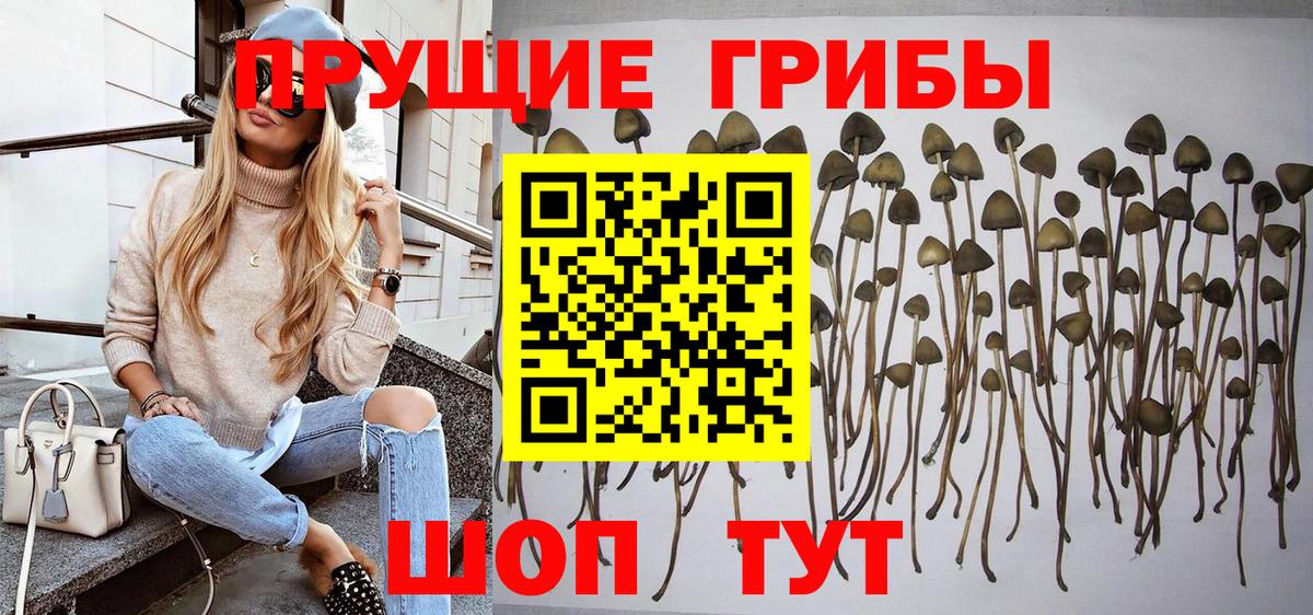 цена наркотик  Галлюциногенные грибы ЛСД  Вход с VPN  Белебей  Галлюциногенные грибы Magic Shrooms 